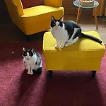 Nocleg ze śniadaniem La Petite Chouette 3*