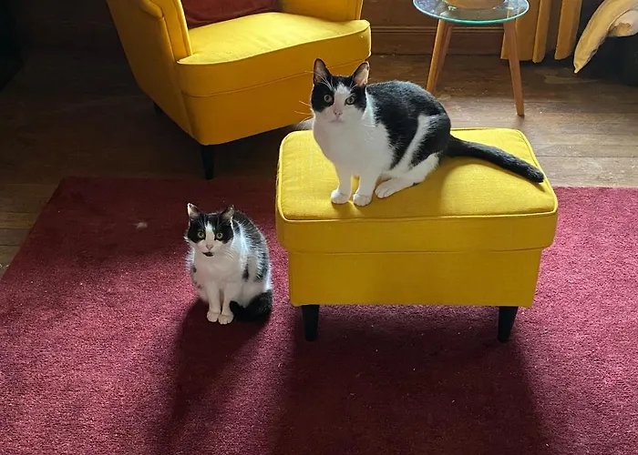 ベッド・アンド・ブレックファスト La Petite Chouette 3*